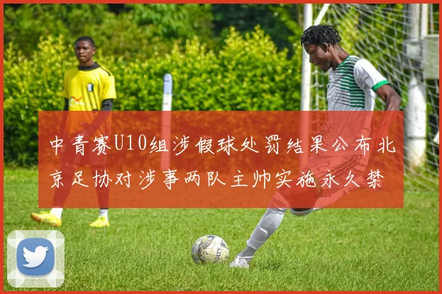 中青赛U10组涉假球处罚结果公布北京足协对涉事两队主帅实施永久禁足