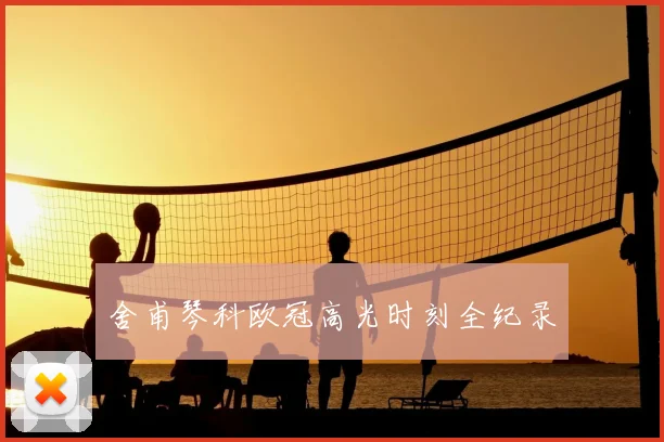 舍甫琴科欧冠高光时刻全纪录